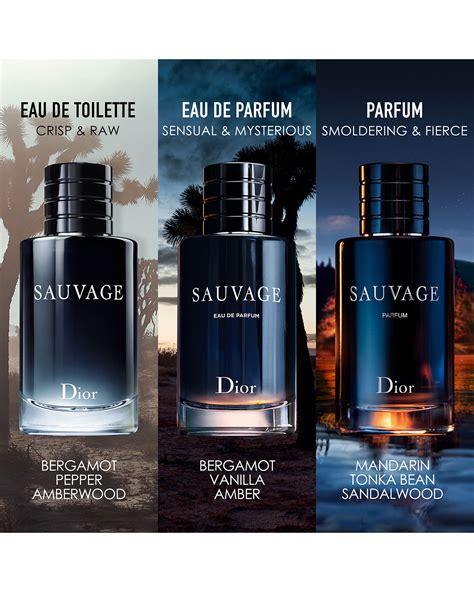 dior sauvage tester san marino|dior sauvage eau de toilette.